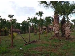 TERRENO EN VENTA – ALDEA EL CEBOLLITO, HAWÁI CHIQUIMULA - 2