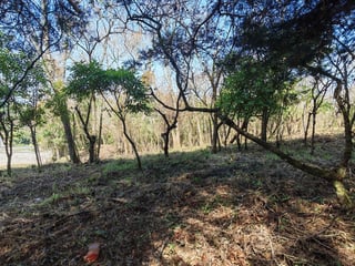 Terreno en Casa   Campo Carretera El Salvador en Venta - 5