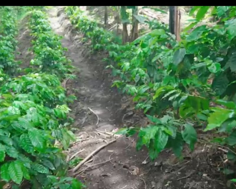 Terreno en Venta Villa Canales Ideal para Desarrollo