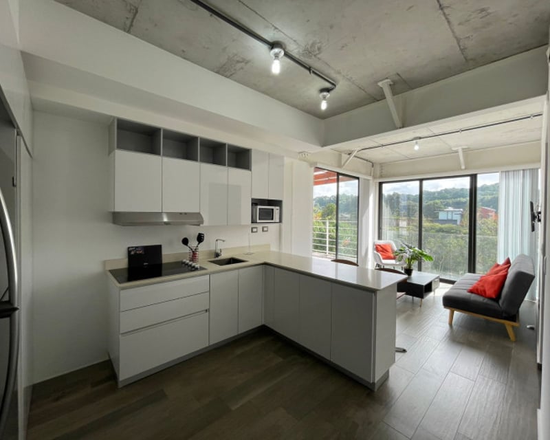 Apartamento en renta en zona 16