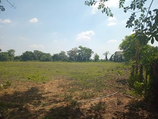 Venta de 7 manzanas de terreno en Masagua, Escuintla | Completamente planos - 2