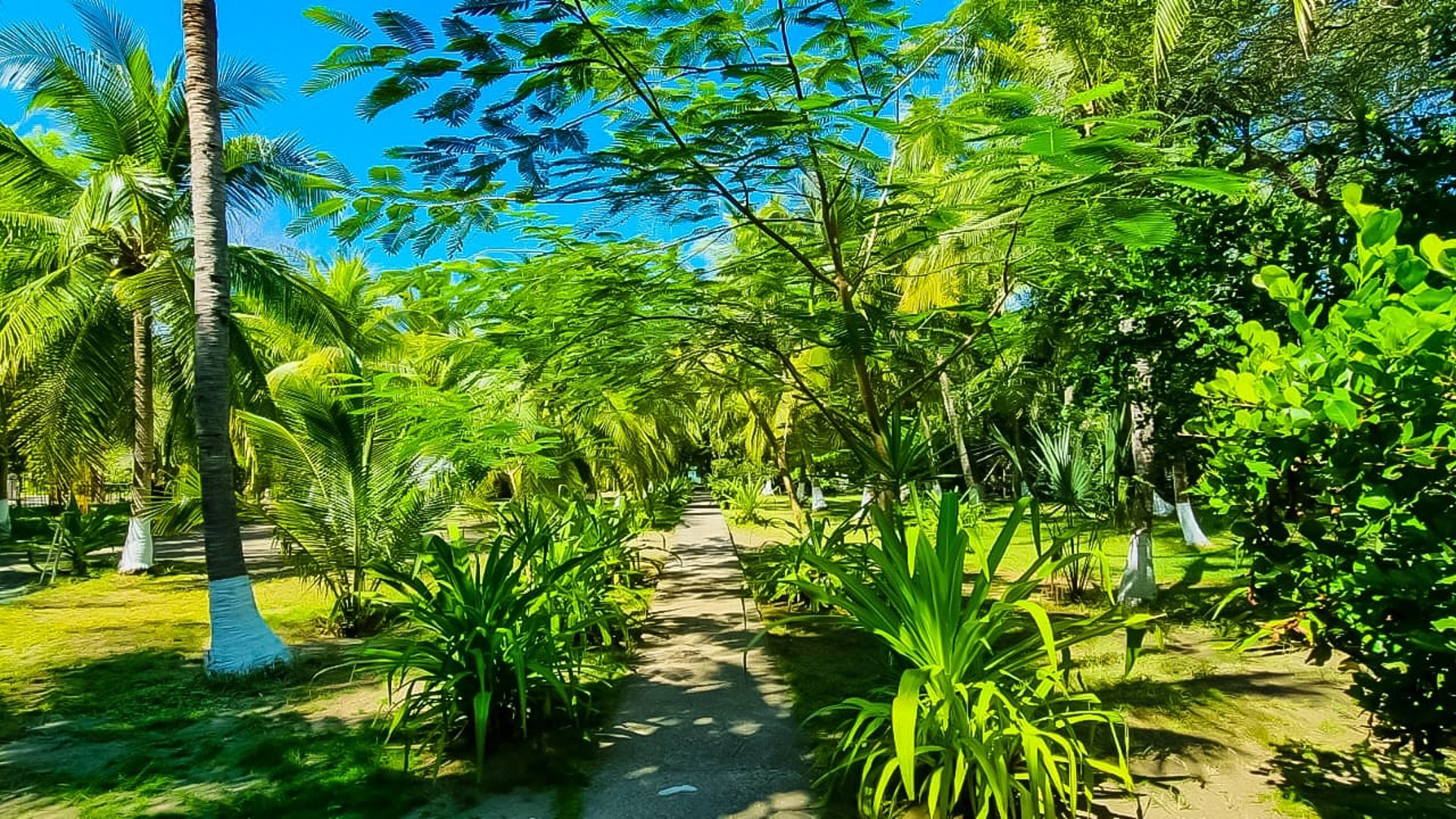 Casa en Venta en Playa Las Lisas, Santa Rosa - Miniatura 9