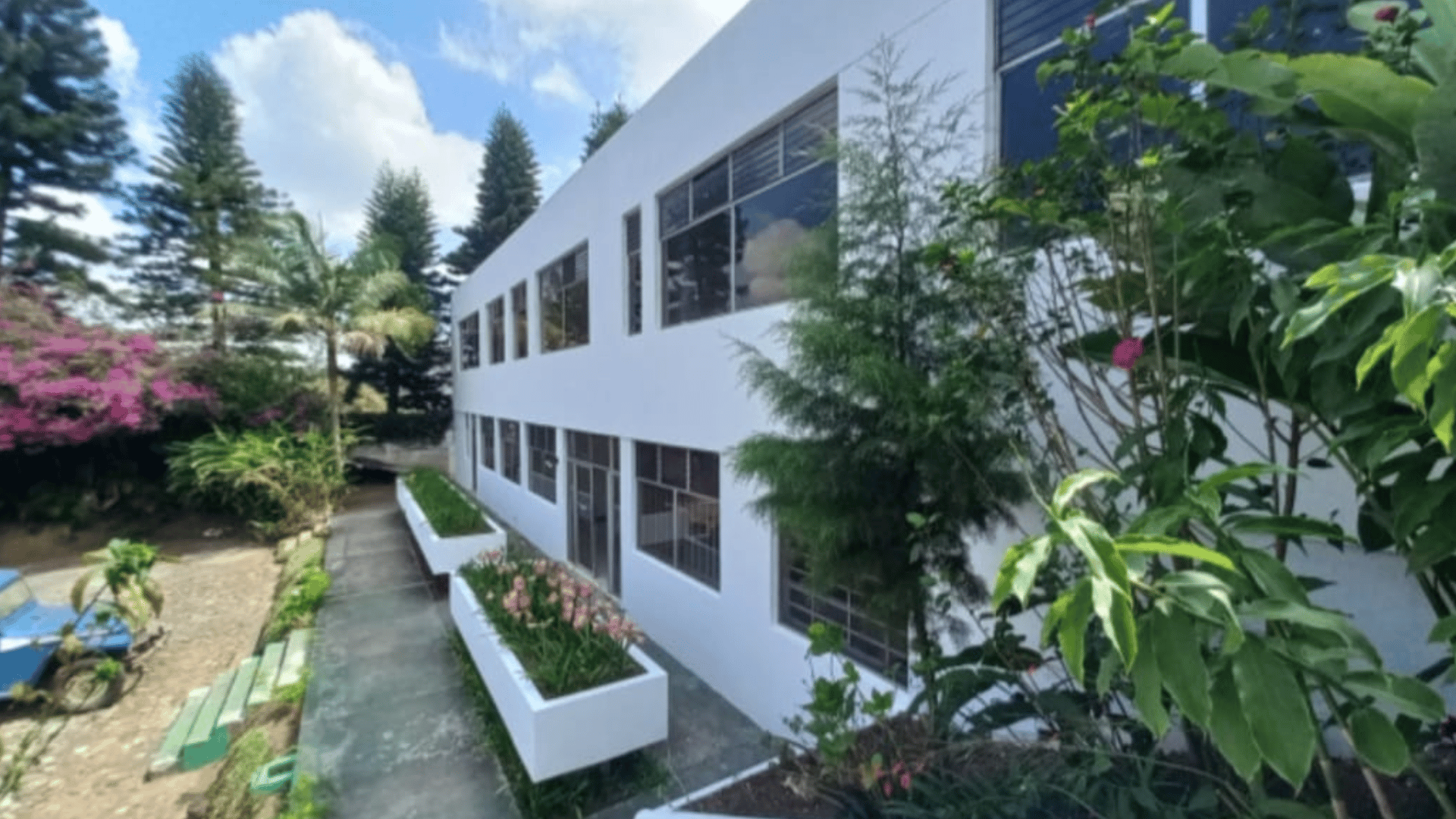 CASA COMERCIAL EN RENTA EN CARRETERA EL SALVADOR - Miniatura 9