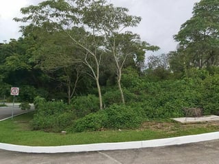 Terreno en VENTA  Condominio Sausalito - 3