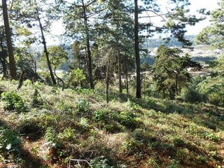 Terreno en VENTA en zona 16 - Image 2