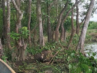 Vendo Terreno en El Estor Izabal - Image 6