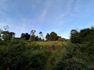 Terreno en venta, en Carretera al salvador - 3