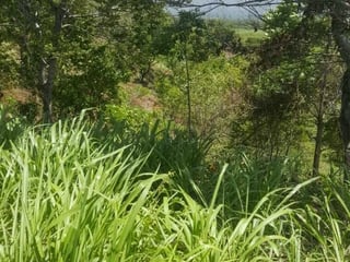 Terreno en VENTA  en Santa Rosa - 4