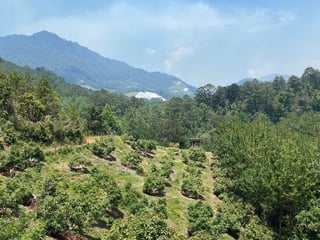 Finca en Venta en La Unión Barrios Km. 152, Baja Verapaz - 3