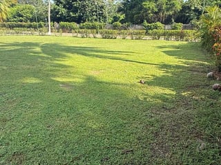 PACIFIC ALL SEASONS TERRENO EN VENTA - 3