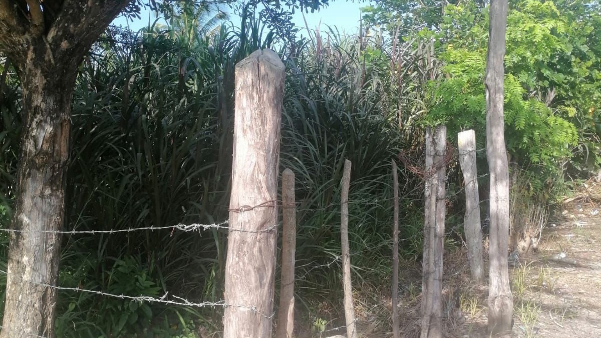 Terreno en venta en Aldea Juan Ponce Zacapa - Miniatura 7