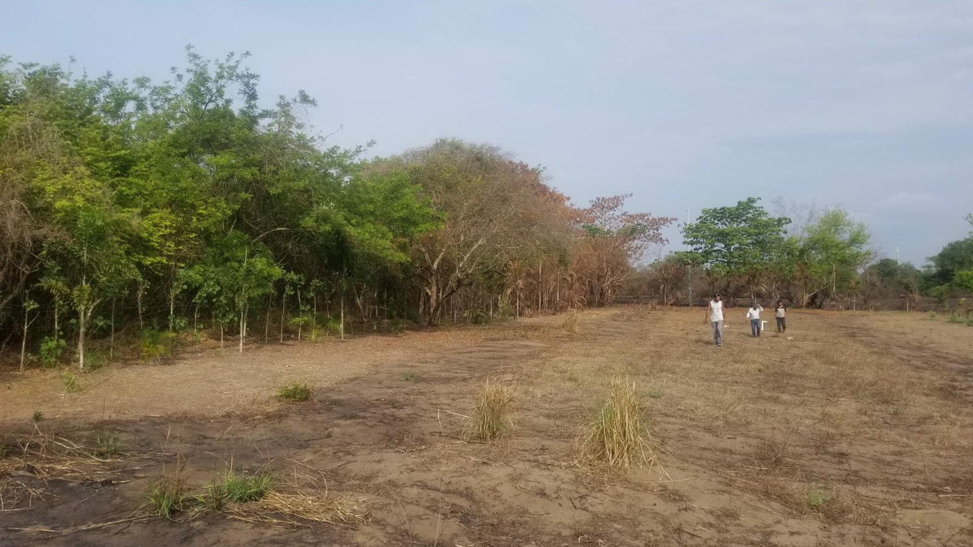 TERRENO COMERCIAL EN VENTA