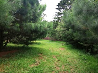 Terreno en venta en Piedra Parada, CES Guatemala - Image 20