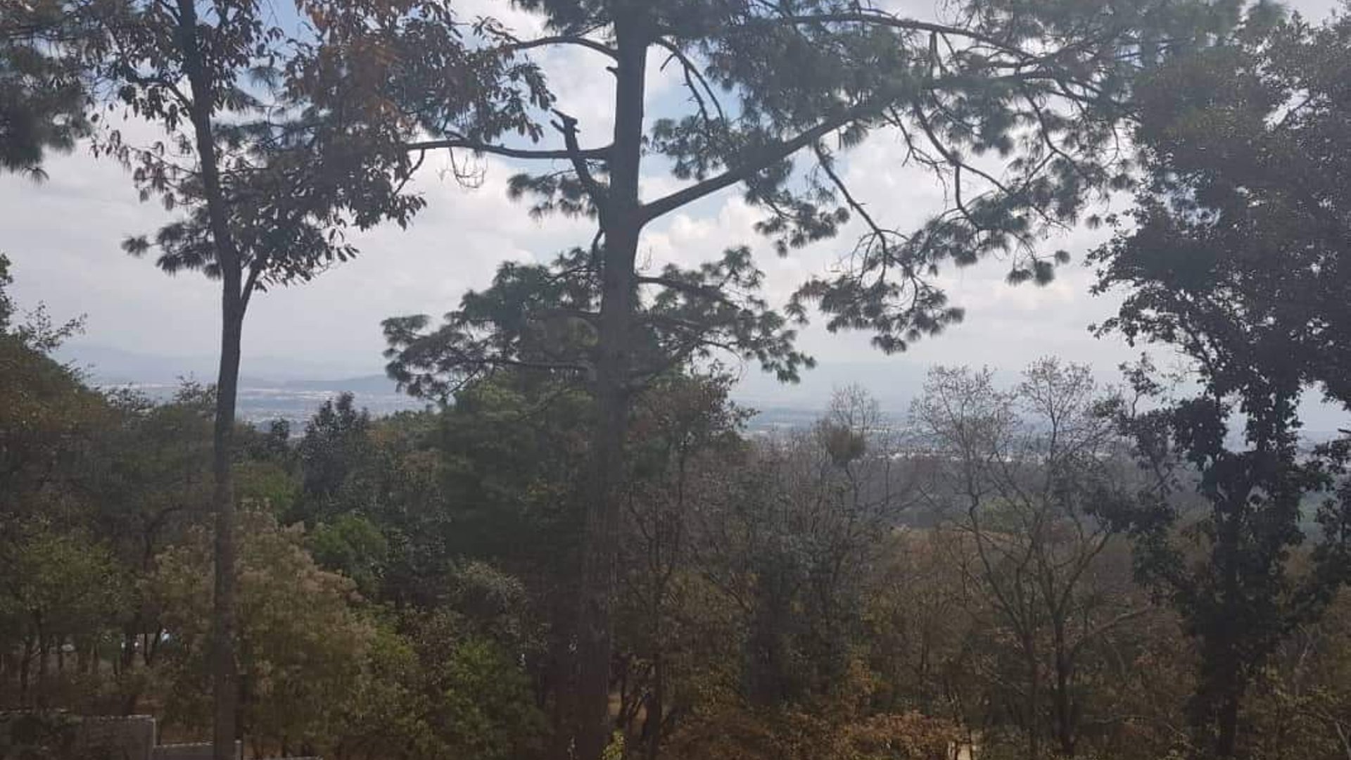 EL ENCINAL/ TERRENO EN VENTA - Miniatura 13