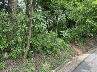 VENTA DE AMPLIO TERRENO - CARR. A LAGUNA BERMEJA, PIEDRA PARADA  - 4
