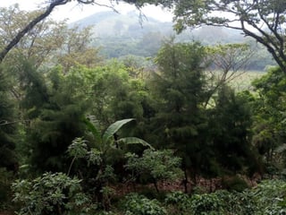 Terreno en venta para desarrollo comercial en Amatitlán - 5