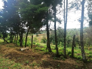 TERRENO RESIDENCIAL EN VENTA EN VILLA CANALES - 3