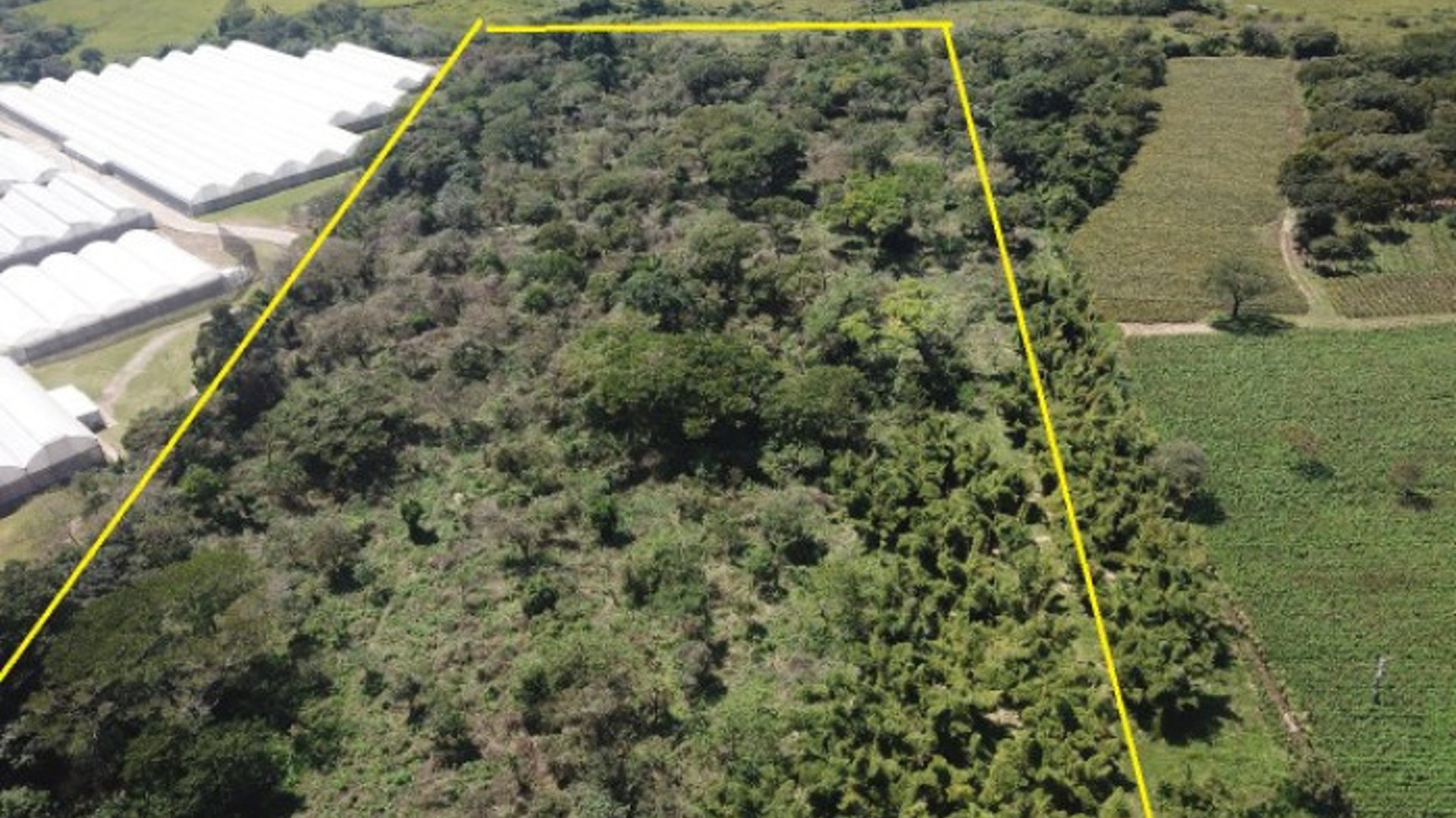 Atención Inversionistas, Terreno en Venta Guatemala - Miniatura 6