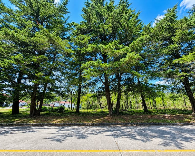 Bello Terreno En Venta En Casa y Campo, Carretera al salvador