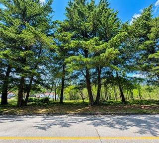 Bello Terreno En Venta En Casa y Campo, Carretera al salvador