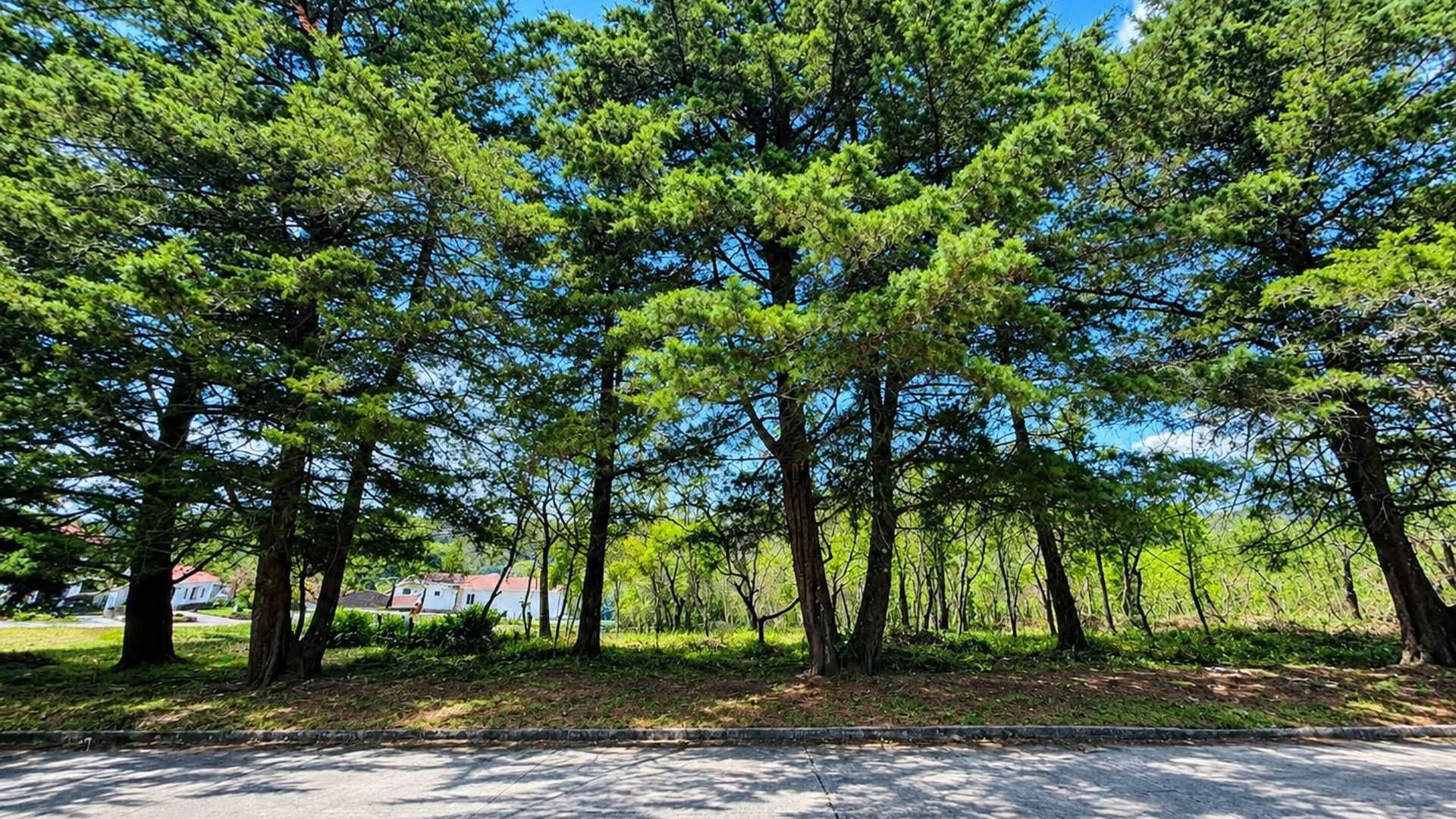 Bello Terreno En Venta En Casa y Campo, Carretera al salvador