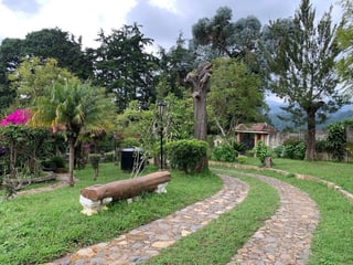 Granja en venta / Santa Lucía Milpas altas - Image 17