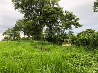 Terreno en Venta en Carretera al Puerto San José - 3