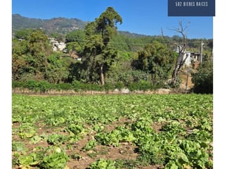 Large Land for Sale in Parcelamiento Santa Rosa, Milpas Altas, Guatemala - 13,800 m² - Agricultural & Commercial Development - $510,000 - Image 7
