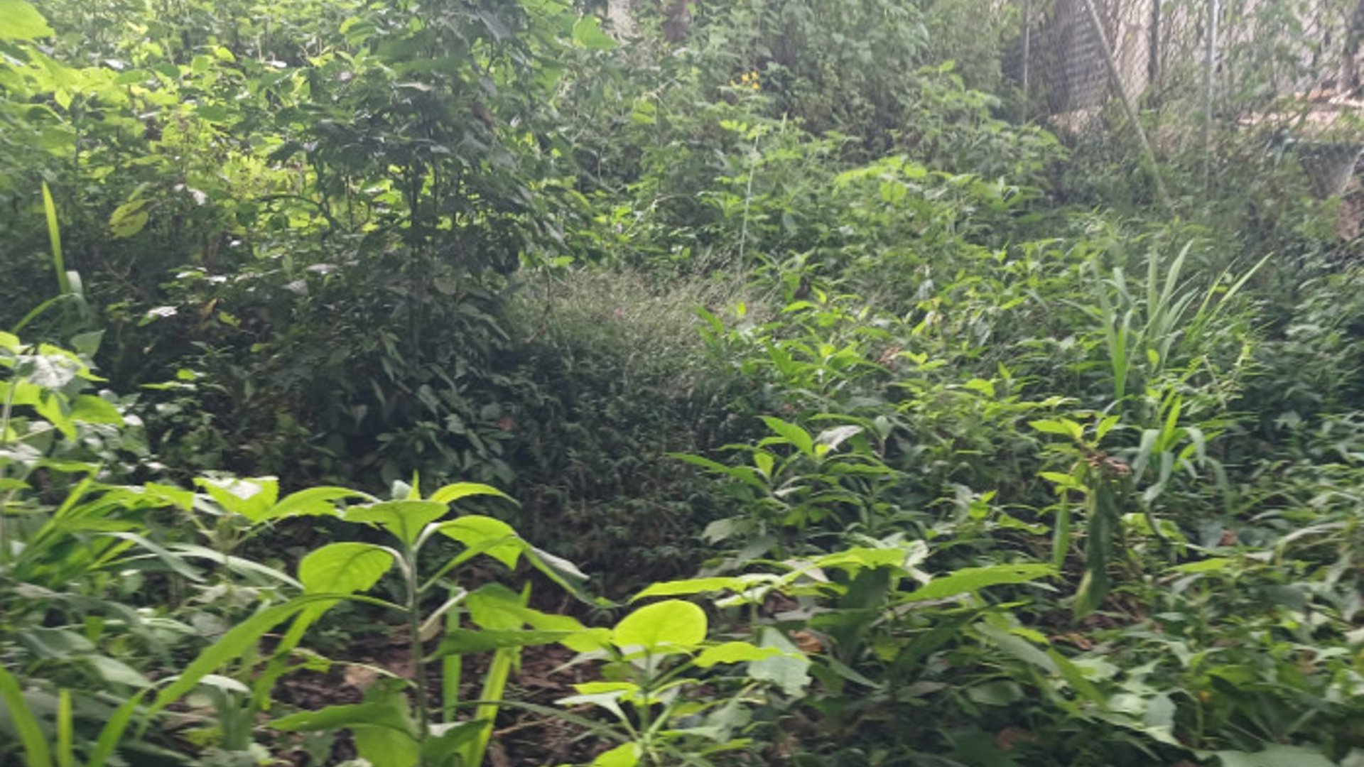 TERRENO EN VENTA EN SAN LUCAS SACATEPEQUEZ - Miniatura 25