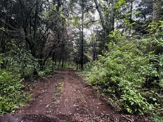 Terreno en venta Santa María de Jesús Antigua Guatemala, 2.5 manzanas con potencial para desarrollo residencial o turístico - Image 2