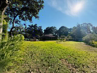 ALQUILER DE AMPLIO TERRENO RURAL - SANTA LUCIA MILPAS ALTAS - Image 5