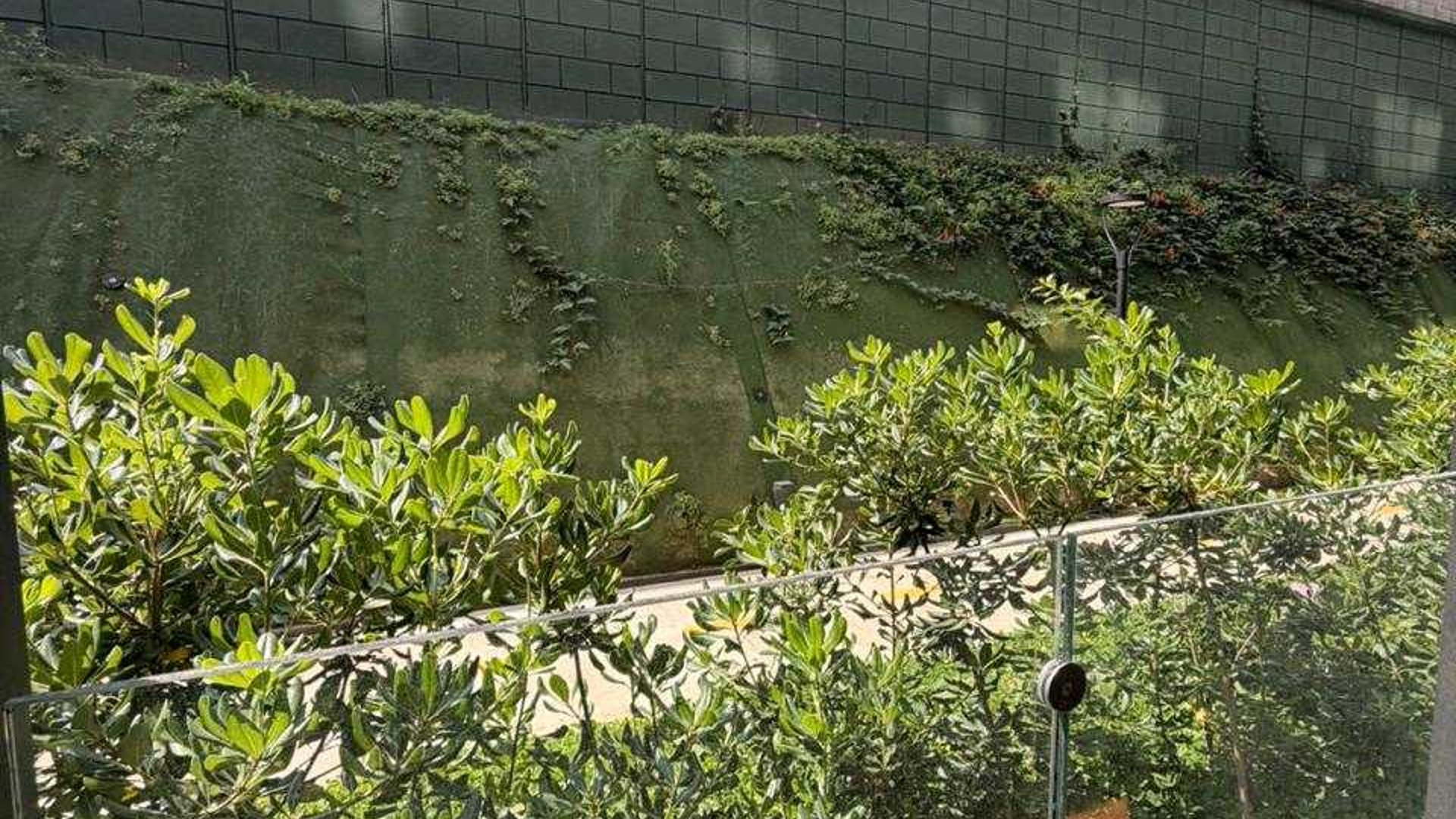 APARTAMENTOS NUEVOS EN ALQUILER????Edificio Villa Mariscal, Zona 11 - Miniatura 4