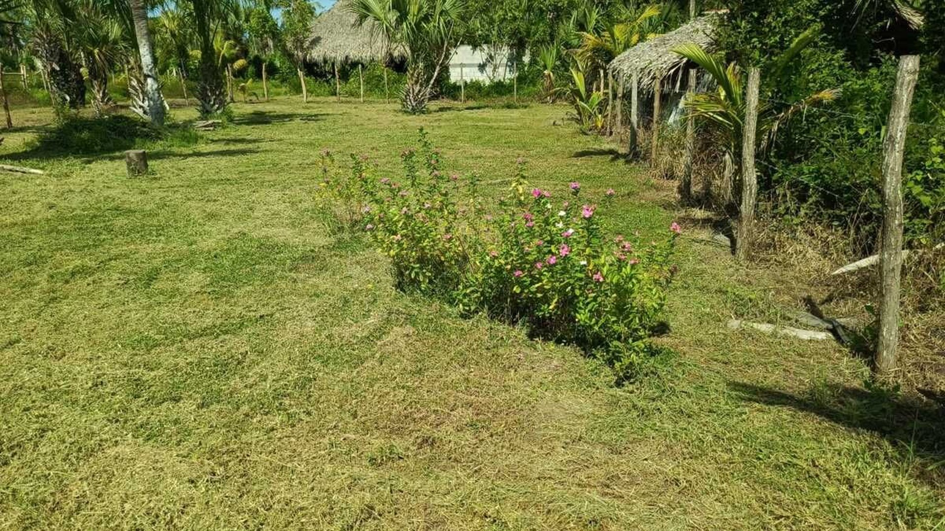 GANGA TERRENO EN VENTA – ALDEA EL CEBOLLITO, HAWÁI CHIQUIMULA - Miniatura 12
