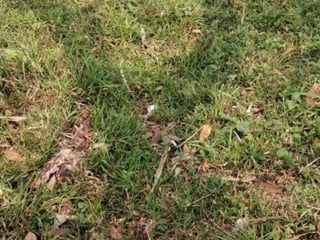 Terreno en Venta Los Amates Izabal, Guatemala - 4