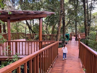 Terreno en Venta en Azara, Legado del Bosque, zona 16 - Image 6