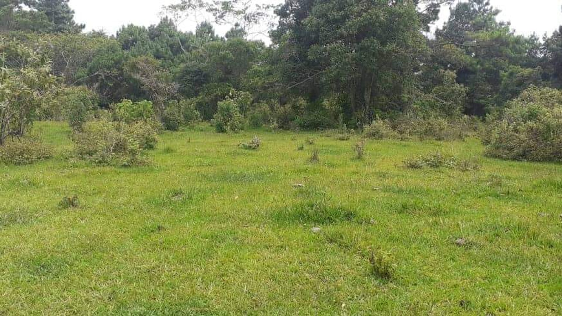 Finca de 113 Manzanas en venta Autopista Puerto Quetzal - Miniatura 9