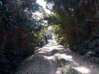 Vendo Finca para Café y Aguacate en Acatenango Chimaltenango  - 3