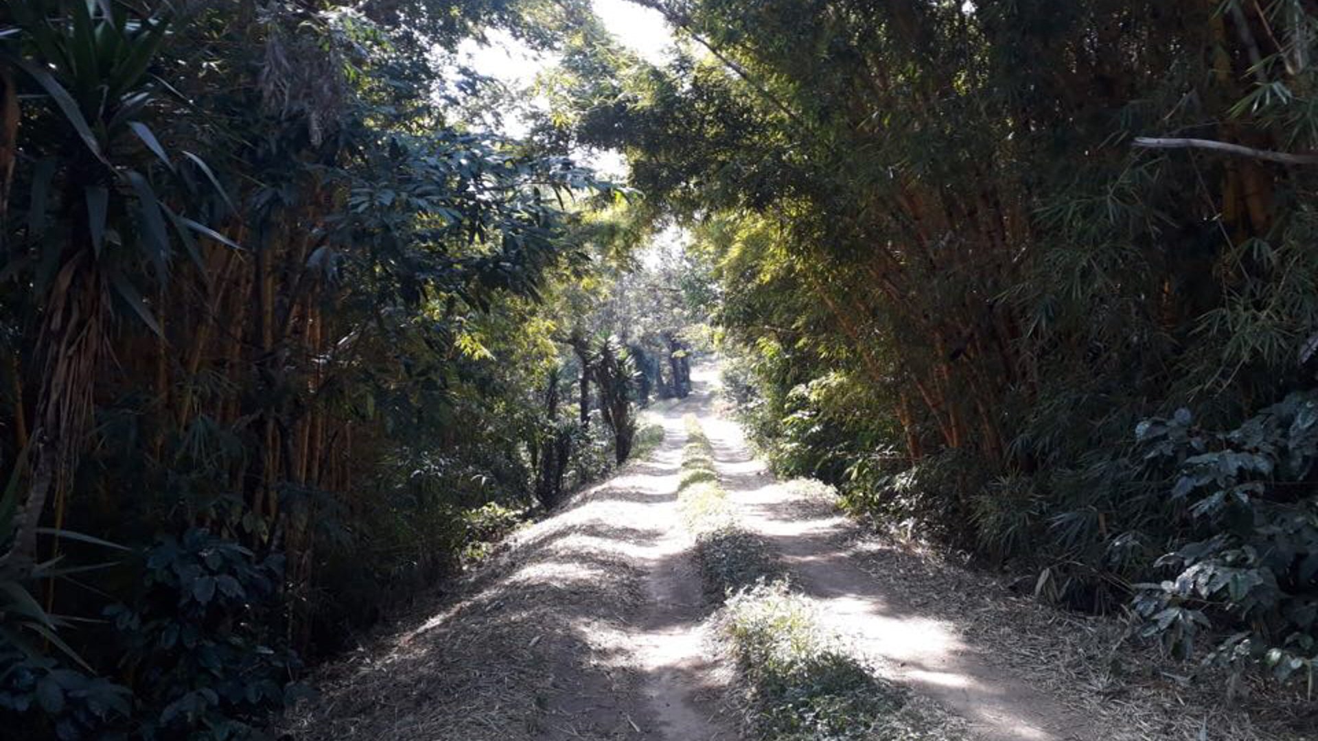 Vendo Finca para Café y Aguacate en Acatenango Chimaltenango  - Miniatura 3