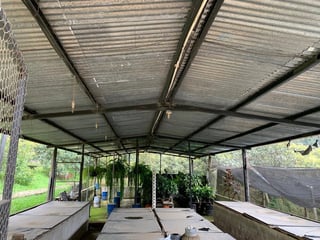 Granja en venta / Santa Lucía Milpas altas - Image 40