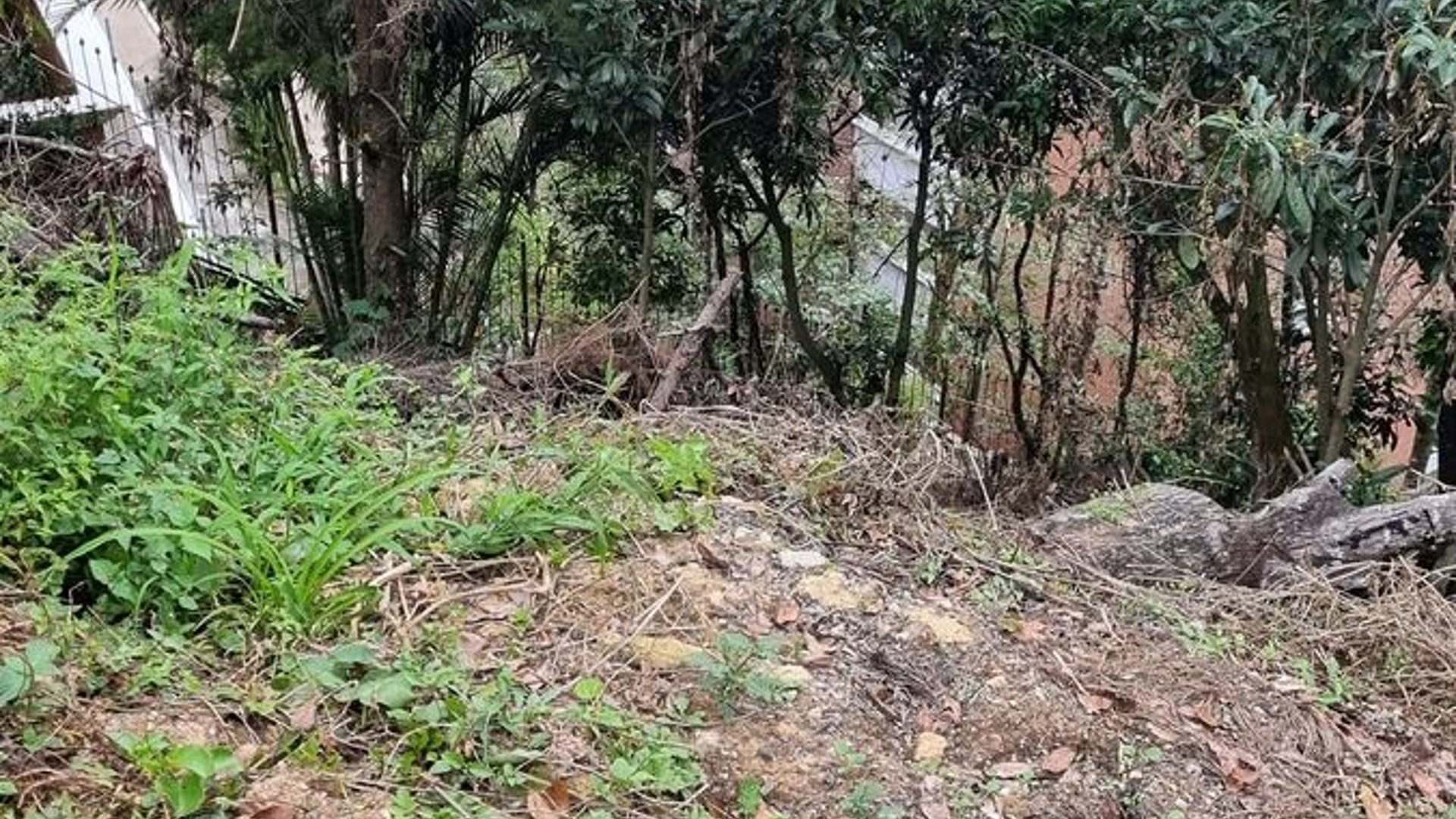 TERRENO EN VENTA EN LA MONTAÑA ZONA 16