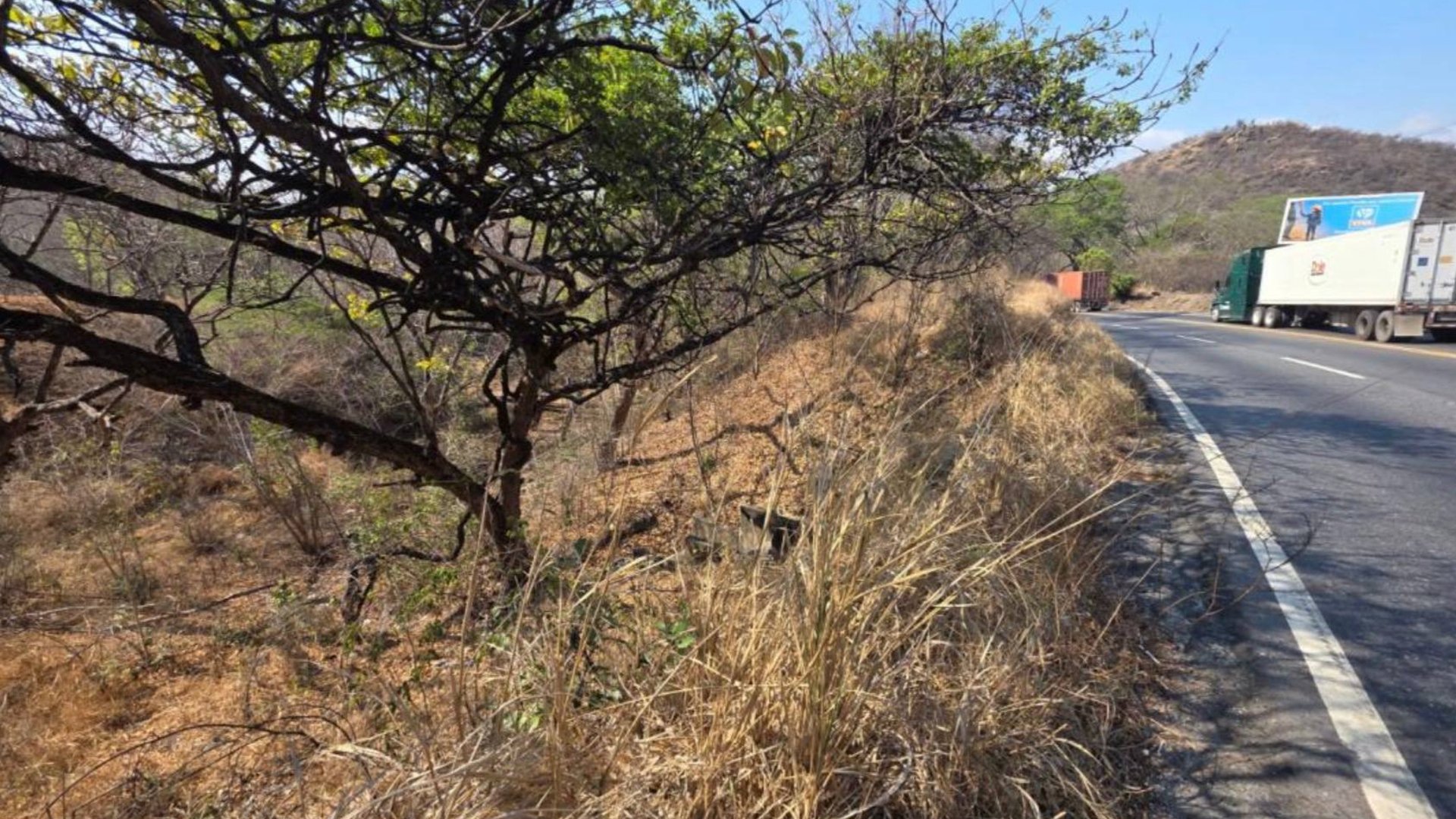 19 Manzanas en venta en El Progreso, Guastatoya  - Miniatura 2