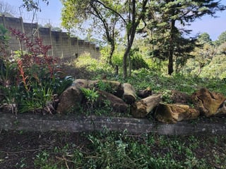 Terreno en VENTA en San Vicente - 5
