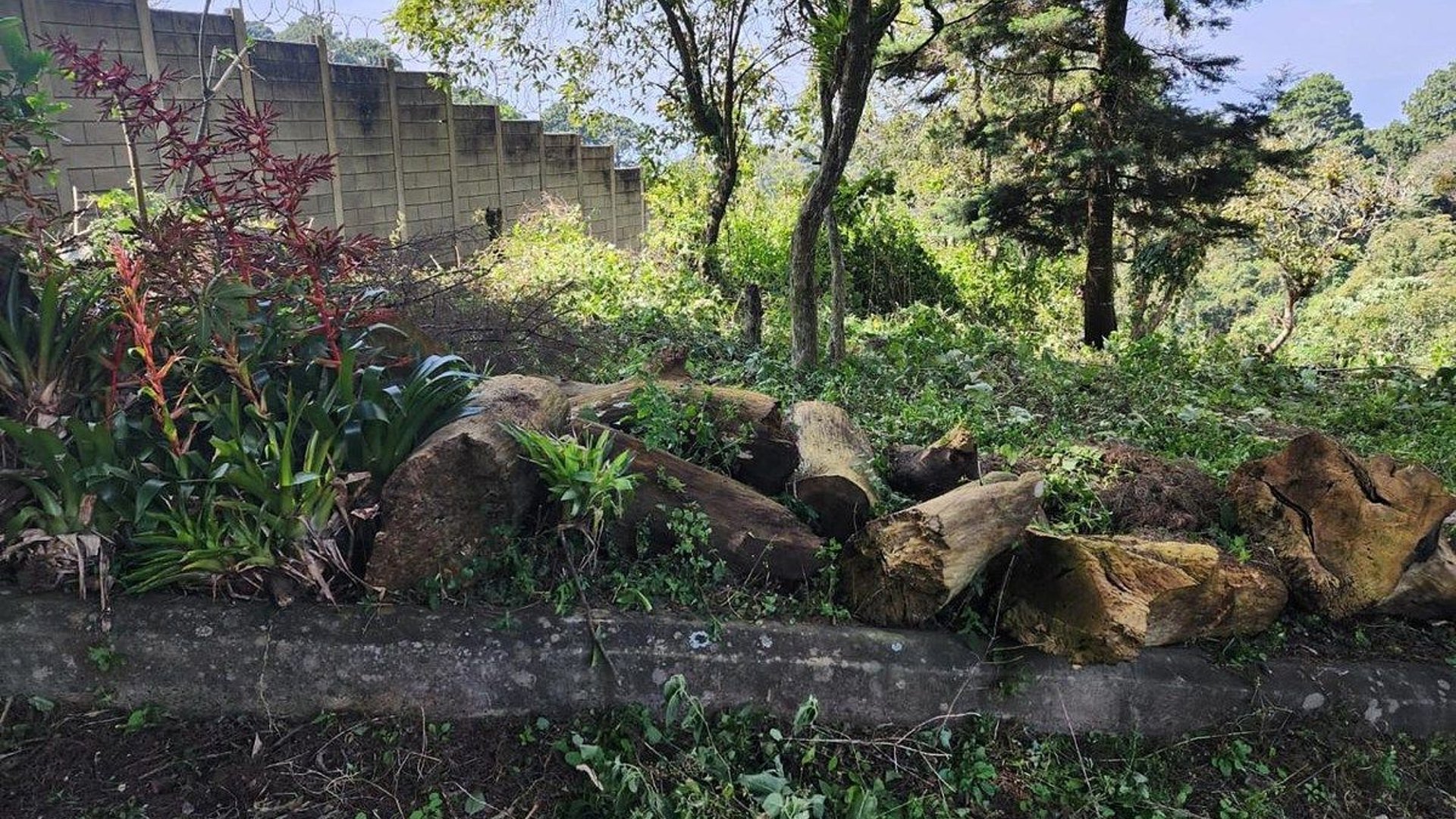 Terreno en VENTA en San Vicente - Miniatura 5