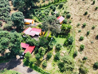 VENTA DE ESPECTACULAR FINCA EN PRODUCCIÓN - SAN VICENTE PACAYA - 2