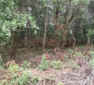 Terreno en VENTA en Rancho Verde