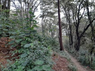 Terreno en Venta San Lucas Sacatepéquez, Guatemala - 5