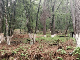 Venta de Terreno en Labor de Castilla, Mixco. - 2