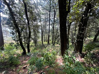 Venta de terreno en San Lucas Aldea El Choacorral - 3