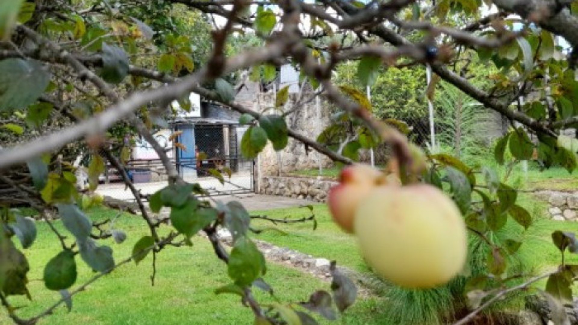 Casa en Venta en Santa Apolonia, Tecpán, Chimaltenango - Miniatura 2