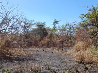 Terreno de 14 x 50 metros en Venta Quintas Malibu - 3